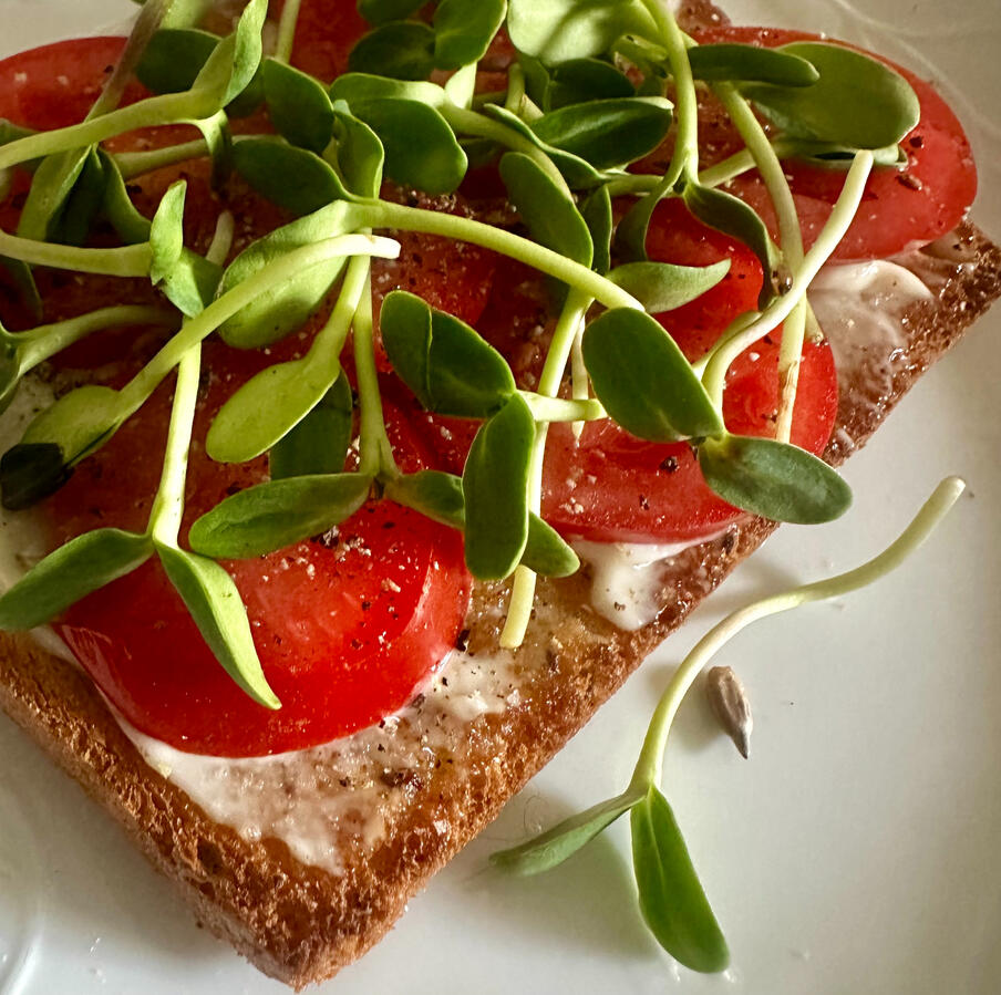 Sunflower microgreens on a tomato sandwich.